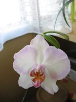 IMG_4854.webp