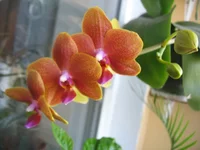 IMG_4863.webp