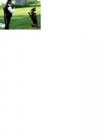 .webp