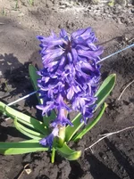 bbb4aa.webp