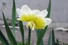 eadd7d.webp