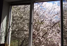 gdbbh0.webp