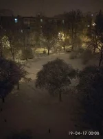 dcge8c.webp