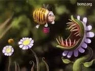 imagesCADS5PR9.webp