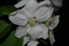 IMGP2547_1.webp