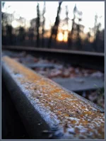 landscape1.webp