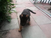 0128.webp