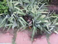 0130.webp