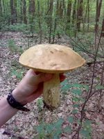 12062011121.webp