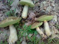 12062011122.webp