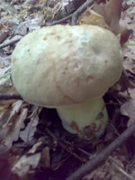 12062011124.webp