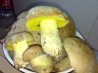 12062011130.webp