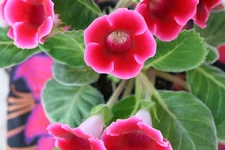 IMG_2413.webp