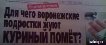 bgd8aj.webp