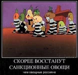 fddbc1.jpg