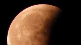 P6161299.webp