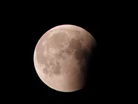P6161353.webp