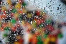 Bubbles_3.webp