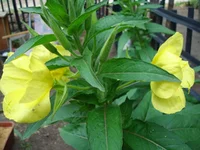 1 089.webp