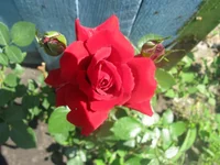 IMG_7473.webp
