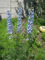 IMG_7475.webp