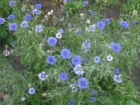 IMG_7479.webp