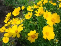 1 062.webp