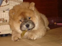 DSC09944.webp