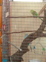 DSC01957.webp
