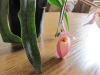 IMG_1192.jpg