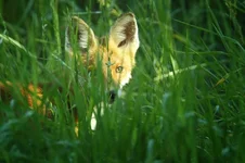 _59K9338.webp