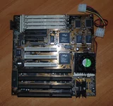 DSC00124.webp