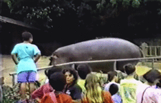 1459237936169666338.gif