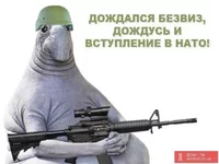 egh7ga.jpg