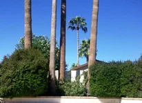 1522 - копия.webp