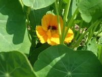 P6182374.webp