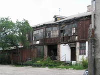IMG_5000.webp