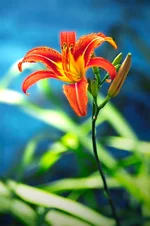 DSC_0006.webp