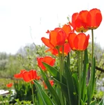 DSC_3120.webp