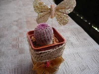 P1110122.webp