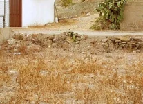 x_34a83a23.webp