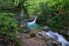 DSC46713.webp