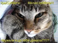 28b328a3fcfe.webp