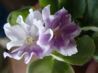 -голубая акварель5.webp