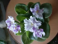 -голубая акварель7.webp