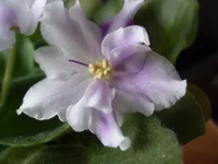 -голубая акварель3.webp