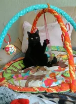 hbd7eh.webp