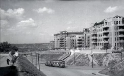 1953 .webp