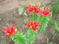 1 123.webp