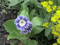DSC01525.webp